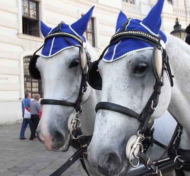 Working in Unison (Vienna, Austria)