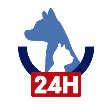 Veterinario 24 horas maringa