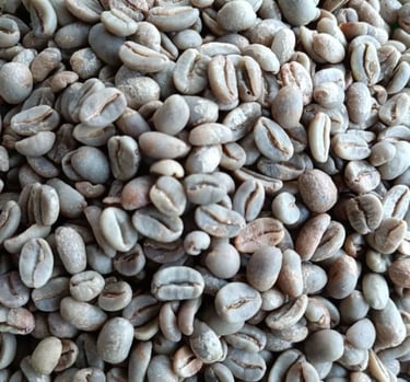 Arabica Indonesia Gayo Specialty honey process – notes of berries, dates, caramel, chocolate.