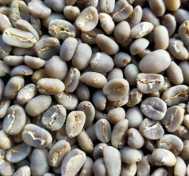 Arabica Indonesia Gayo Specialty wet-hulled – floral, lemon, palm sugar with juicy and herbal tones 