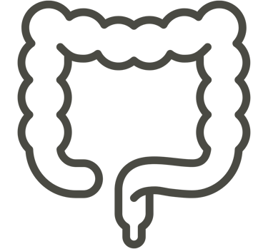 Distúrbios Gastro-intestinais