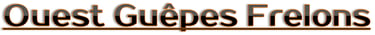 le logo ouest guêpes frelons
