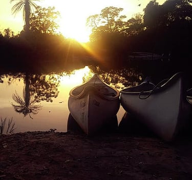 A tranquil image of Marakissa River Camp, nestled along the banks of a calm river surrounded by lush