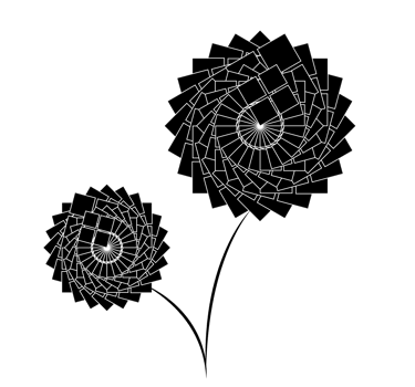 Two flowers black and white drawing