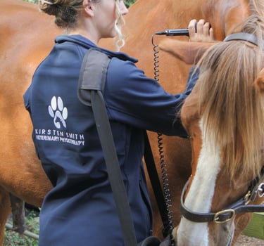 equine laser therapy for equine physiotherapy and massage therapy cornwall