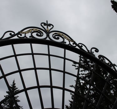 Porte de garage en acier métal fer forgé noir et or doré