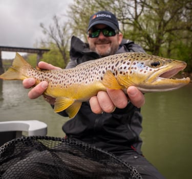 Sulfur Hatch is coming off on the Watauga river