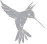 Hummingbirds