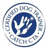 Catch Academy logo. 