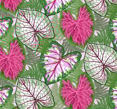 Cordinate pattern pink caladium leaves and fern