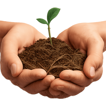 Hands holding a small mound of earth with a tiny green sprout growing out of it, surrounded by dry herbs.