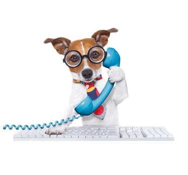 Book your appointment for pet grooming in Aatar 