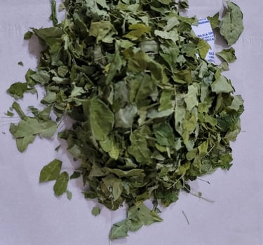 Dried moringa leaf – nutrient-rich herbal product exporter from Indonesia - adely eco nusantara