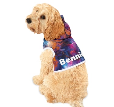 dog wearing colorful hoodie Bennie