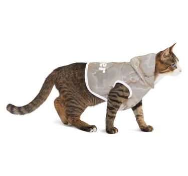 cat wearing marble pet hoodie Tigger