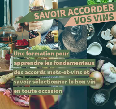 accords mets et vins cours oenologie lyon