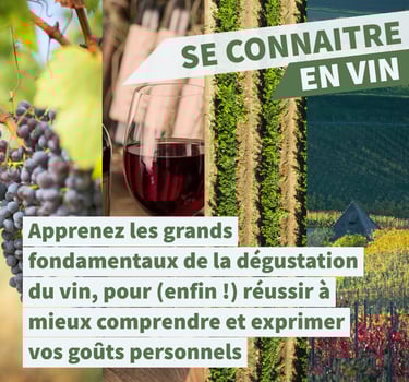 cours initiation oenologie se connaitre en vin 