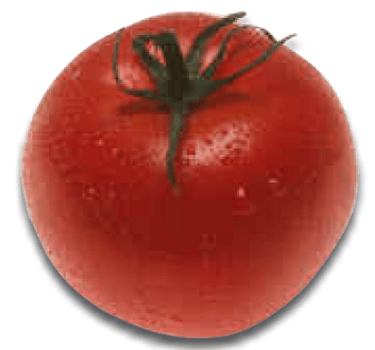 Tomato Soup
