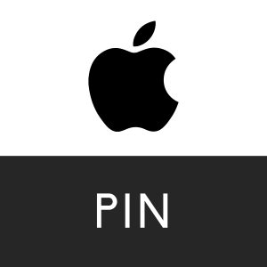 Consigue tu Pin