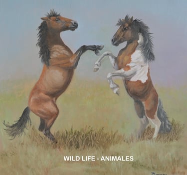 WILD LIFE - ANIMALS