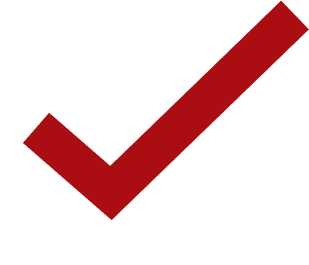 Checked checkbox indicating possession of technical ability and knowledge.