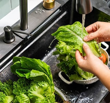 Lettuce: Fresh Salads from Your Backyard