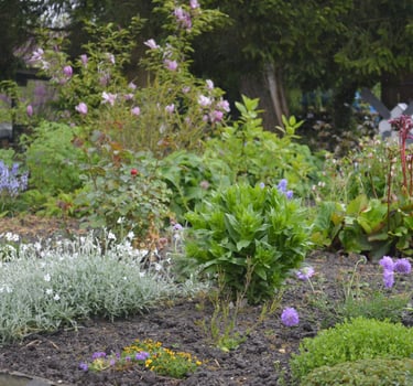 Désherbage à Soisy-sur-Seine et aux alentours.