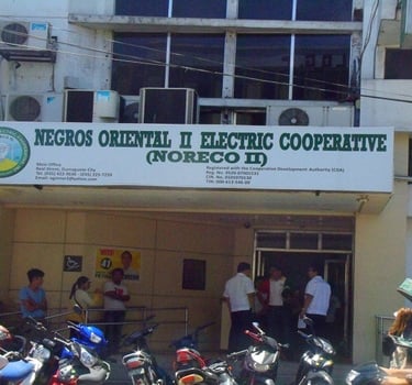 Noreco 2 served by Dumaguete Pest Control