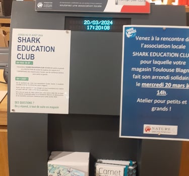 arrondi à la caisse de nature et découverte pour shark education club