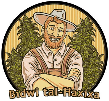 How to Grow Cannabis in Malta