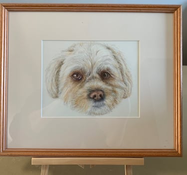 Dog