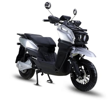 Skyline Electric Scooter bike