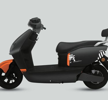 War leopard Electric Scooter
