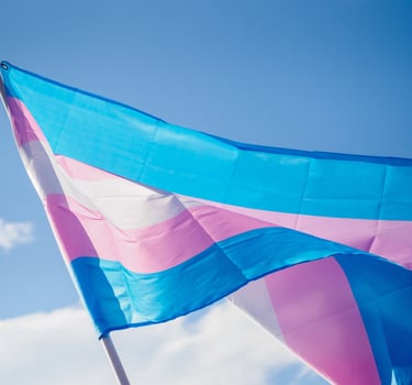 Trans and gender diverse affirming therapy in SF