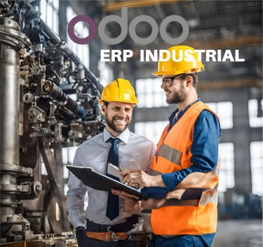 Oddo ERP