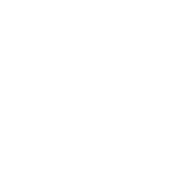 Decorative graphic element