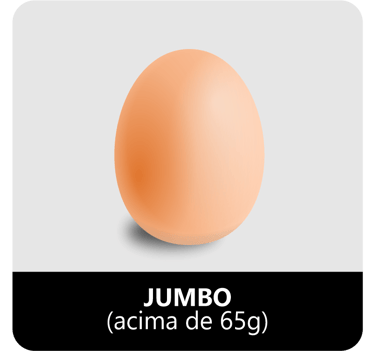 Distribuidora de ovos em Barra do Garcas