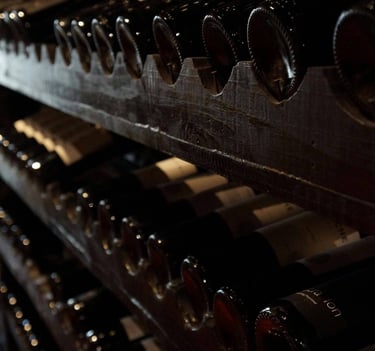 Armazenamento, seleção e serviço de vinho.