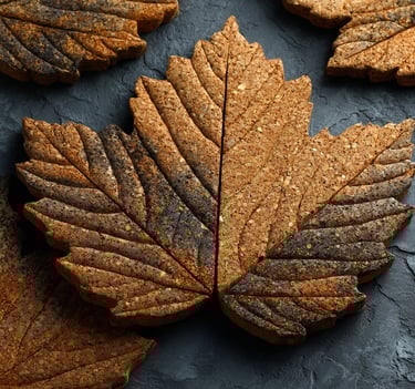 a leaf shaped Cork trivet