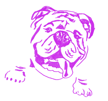 Violet line-art illustration of a bulldog – iconic PIECE OF K. branding mascot