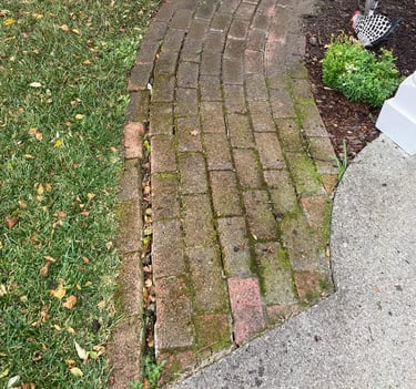 moss covered pavers