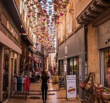 Avignon Tours With Driver Private Tours Provence