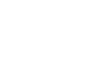 Decorative graphic element