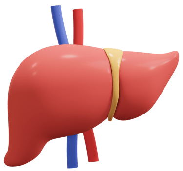 Liver cirrhosis, Liver cancer, Hepatitis, Liver infection, Liver Transplanatation