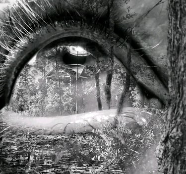 Forest Eye