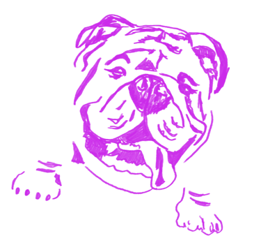 Violet line-art illustration of a bulldog – iconic PIECE OF K. branding mascot