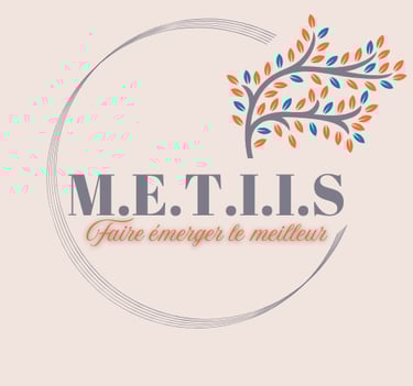 logo de M.E.T.I.I.S, écosystème spécialiste de la réussite professionnelle