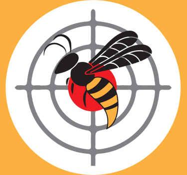 Destruction de guêpes et de frelons dans le Finistère