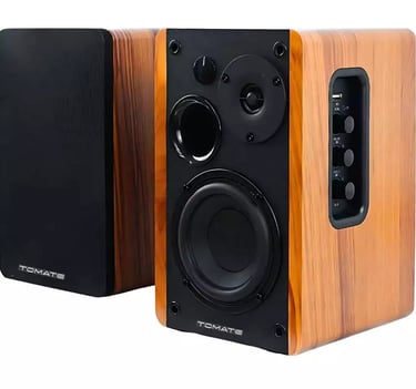 Monitor De Áudio Bluetooth 100W RMS 