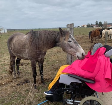 Cheval posant son nez sur une enfant polyhandicapée dans son fauteuil roulant 